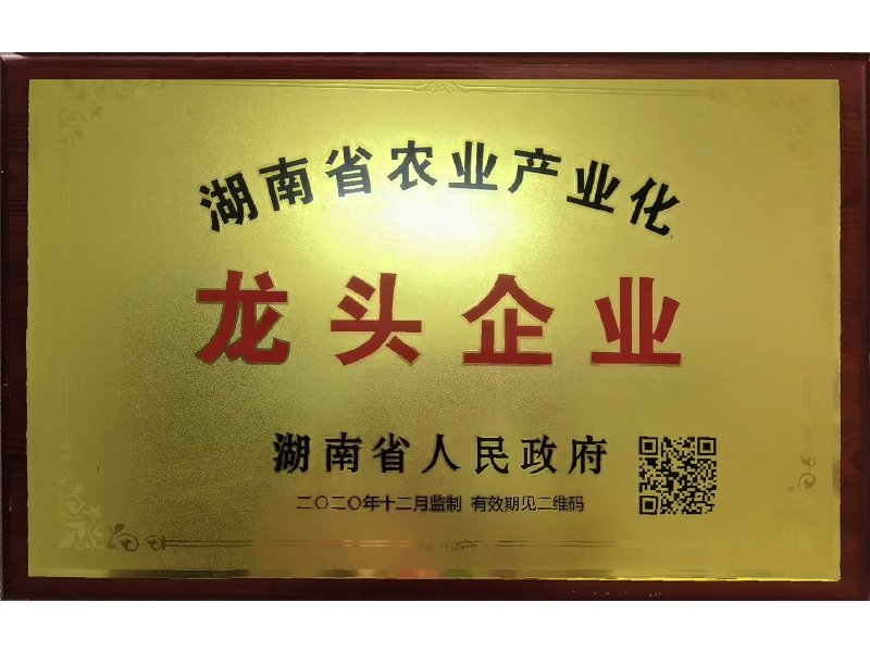 岳陽市漁之源食品有限公司,岳港漁都,洞庭魚港,散稱系列,田螺系列,臭豆腐加工，香豆腐加工，烤脖加工，魚仔,鴨排加工、雞丁加工代加工